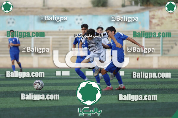 سفیر 1–3 شاهین