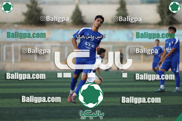 سفیر 1–3 شاهین
