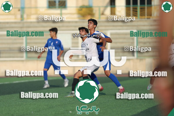 سفیر 1–3 شاهین