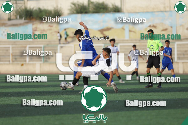سفیر 1–3 شاهین