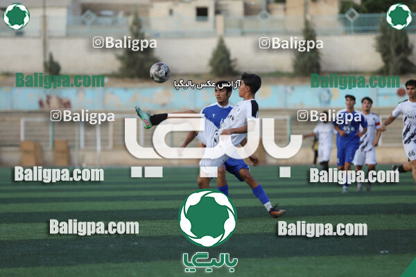 سفیر 1–3 شاهین