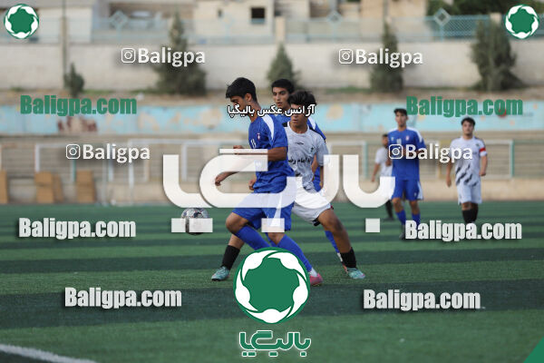 سفیر 1–3 شاهین