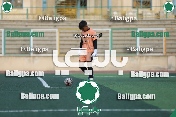 سفیر 1–3 شاهین