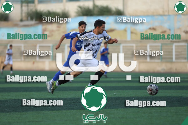 سفیر 1–3 شاهین