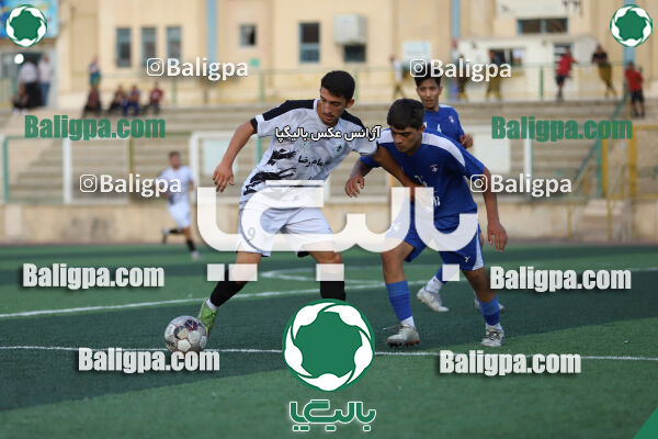 سفیر 1–3 شاهین