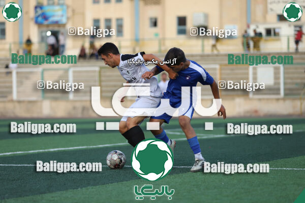 سفیر 1–3 شاهین