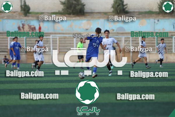 سفیر 1–3 شاهین