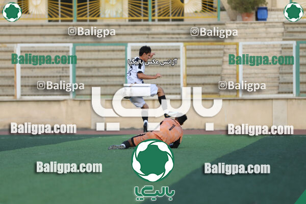 سفیر 1–3 شاهین