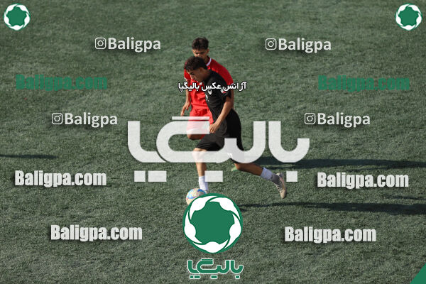 ایرانیان مهر شهید باباخانی 1–2 شاهین
