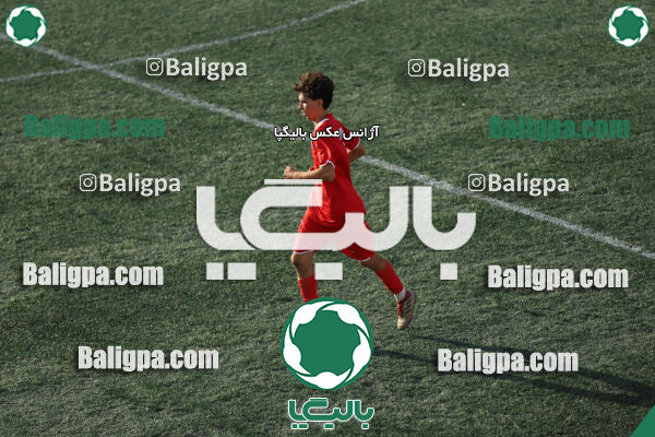 ایرانیان مهر شهید باباخانی 1–2 شاهین