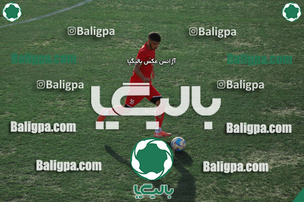 ایرانیان مهر شهید باباخانی 1–2 شاهین