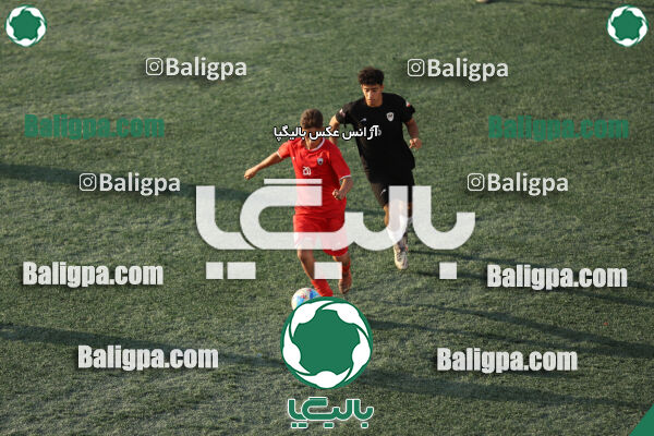 ایرانیان مهر شهید باباخانی 1–2 شاهین