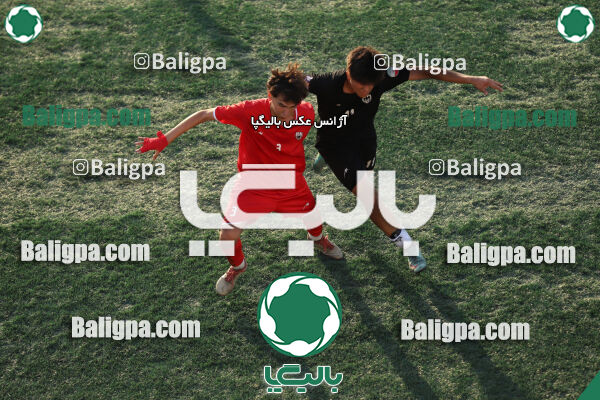 ایرانیان مهر شهید باباخانی 1–2 شاهین
