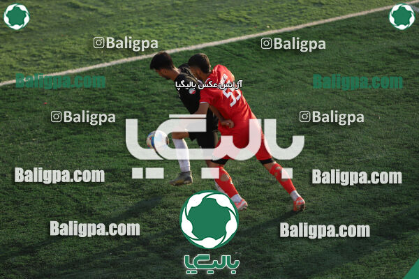 ایرانیان مهر شهید باباخانی 1–2 شاهین