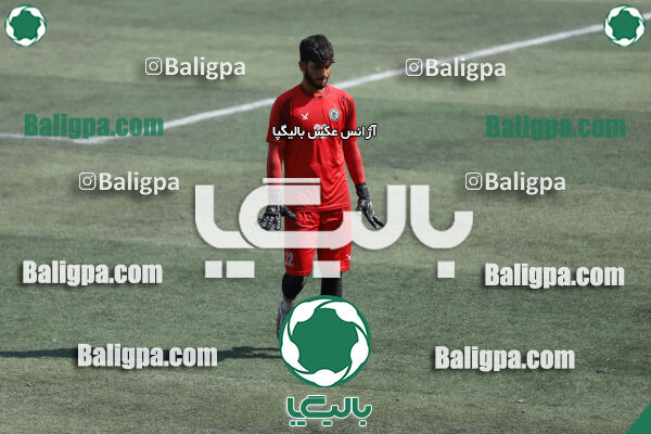 دلوار افراز 2–3 پیکان