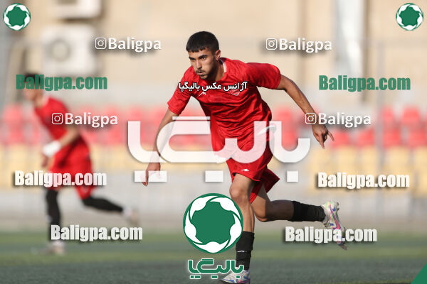 هوادار 1–0 پرسپولیس