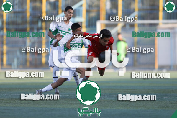 پاس قوامین 3–0 حامی