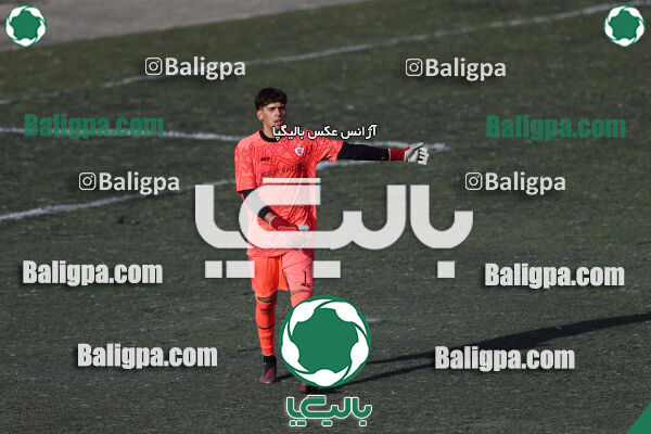 کیا 2 - 4 پیام کوثر