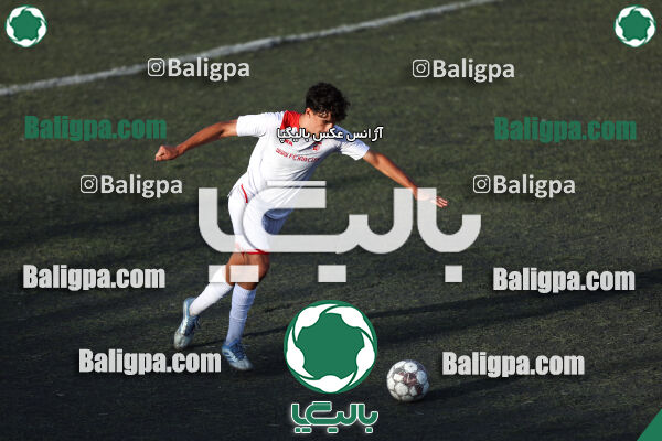کیا 2 - 4 پیام کوثر