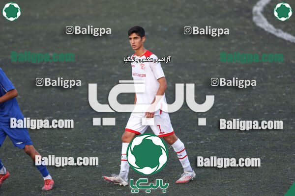 کیا 2 - 4 پیام کوثر