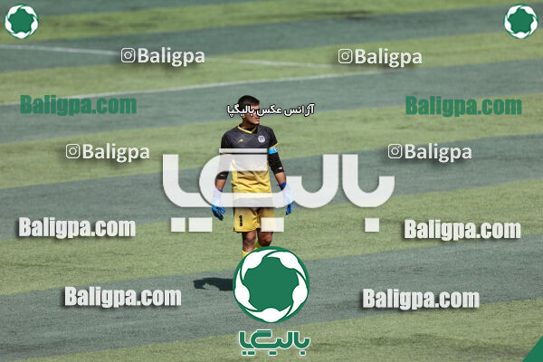 انرژی پیشرو ایرانیان 0 - 0 سزار