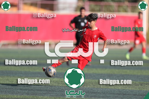 پرسپولیس 0–1 شاهین