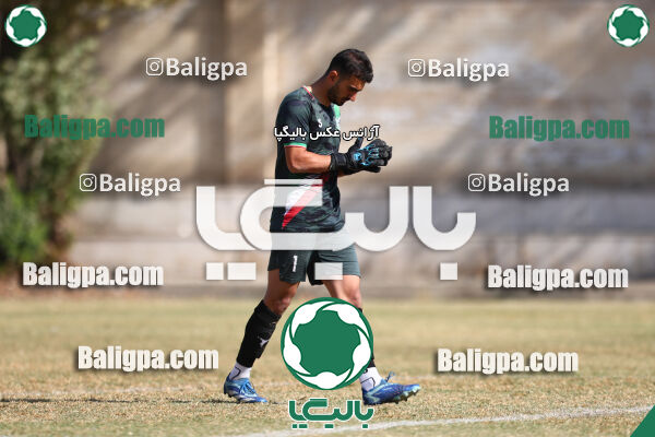 نیروی زمینی 3–2 مقاومت