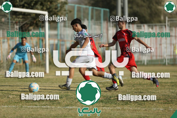 ایرانمهر باباخانی 1 - 1 شاهین
