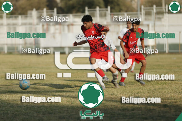 ایرانمهر باباخانی 1 - 1 شاهین