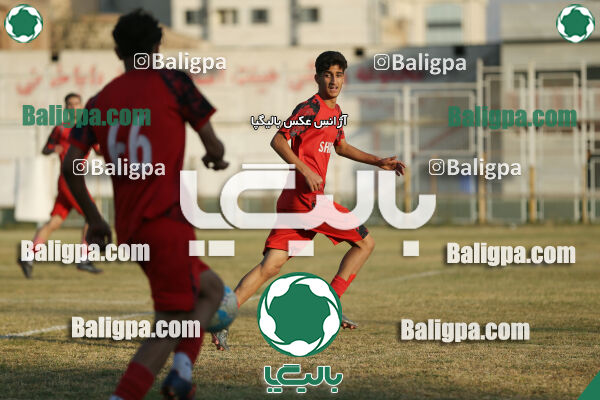 ایرانمهر باباخانی 1 - 1 شاهین