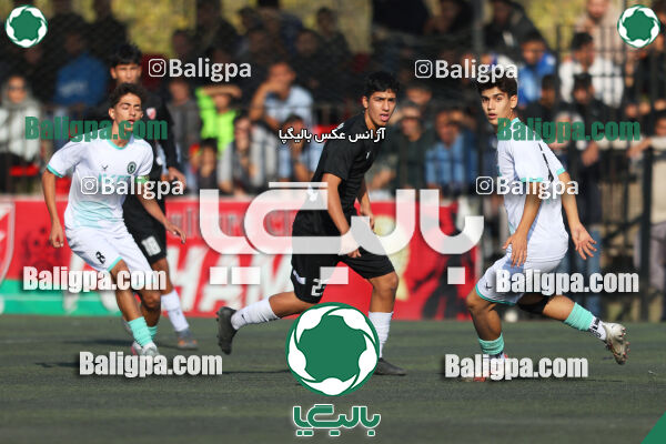 حامی 1 - 1 پیکان