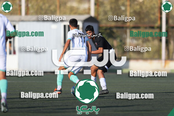 حامی 1 - 1 پیکان