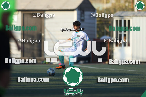 حامی 1 - 1 پیکان