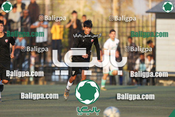 حامی 1 - 1 پیکان