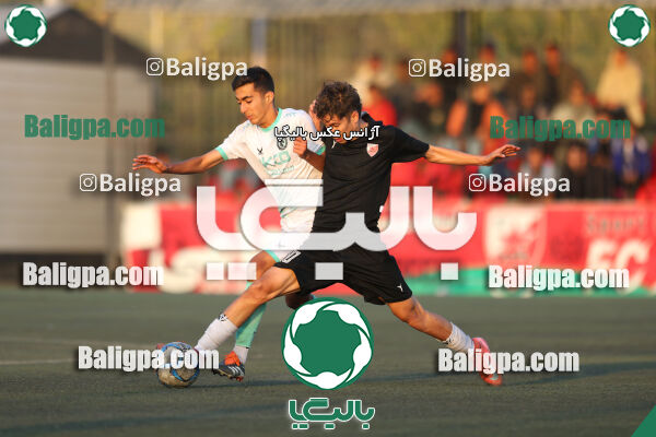 حامی 1 - 1 پیکان