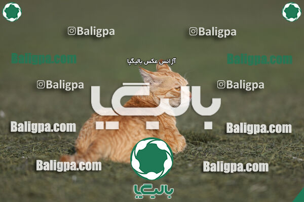 کیا 1–2 پرسپولیس