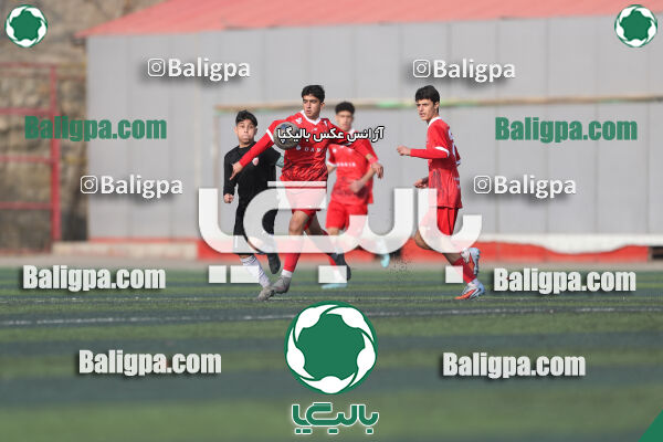 پرسپولیس 3–1 حامی