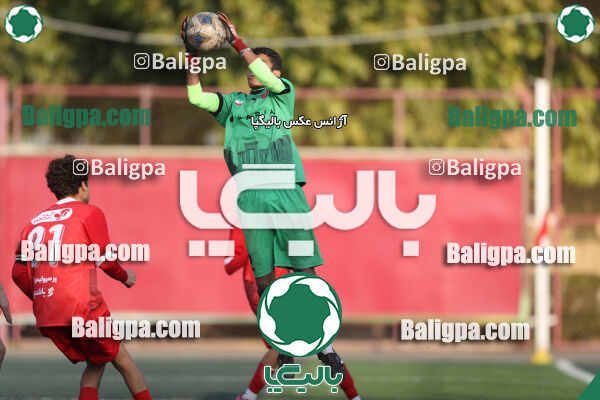 پرسپولیس 3–1 حامی