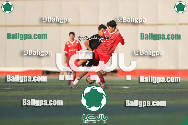 پرسپولیس 3–1 حامی