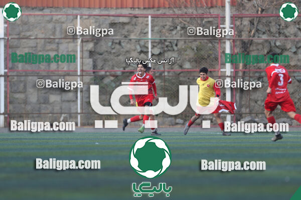 پرسپولیس 3–1 حامی