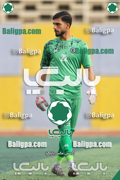 پیکان 3–2 نیروی زمینی