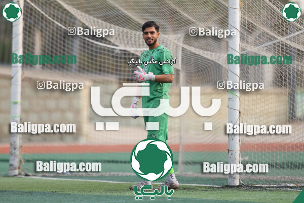 پیکان 3–2 نیروی زمینی