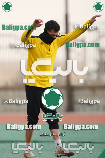 پیکان 3–2 نیروی زمینی