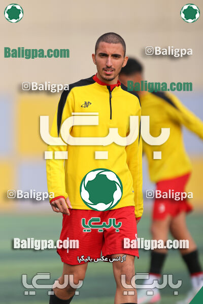 پیکان 3–2 نیروی زمینی