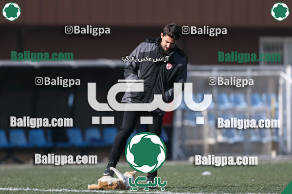جلسه تمرینی تیم فوتبال کیا