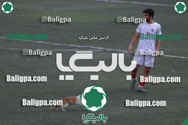 کیا 1 - 2 ایرانمهر باباخانی
