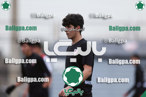 حامی 1 - 4 کیا