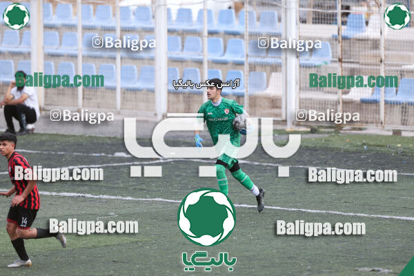 کیا 1 - 3 پیکان