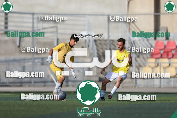 توانا - پیکان