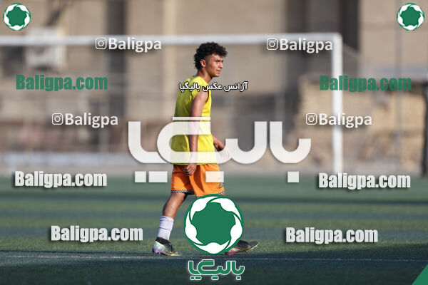 توانا - پیکان
